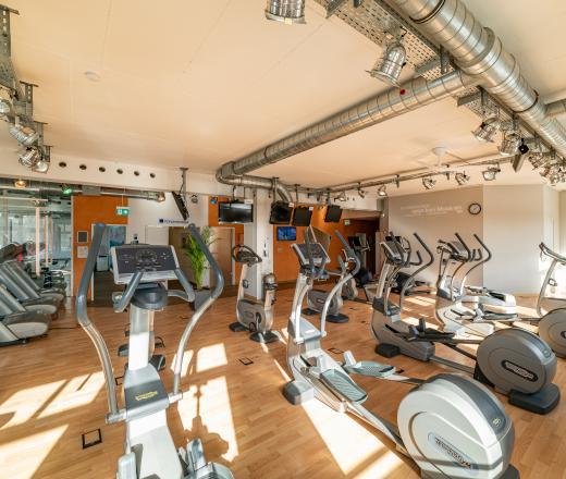 Ausdauertrainingsbereich im Body Up Fitnessstudio Ottobrunn Das Bild zeigt die verschiedenen Ausdauergeräte im Body Up Ottobrunn wie z.B. Radergometer, Ruderergometer, Vario Stepper, Crosstrainer, Laufbänder