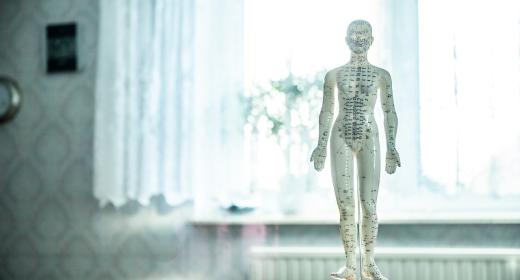 Osteopathie als ganzheitliche Behandlungsmethode