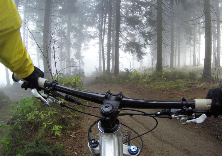 cycling-Fahrradfahrer im Wald Indoorcycling