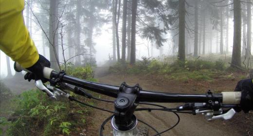 cycling-Fahrradfahrer im Wald Indoorcycling