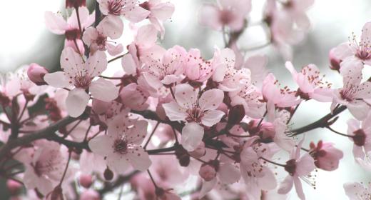 Ostern Hintergrund