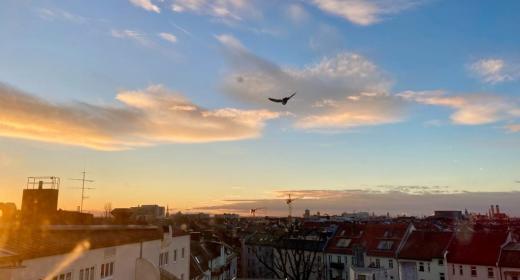 Panorama OBF