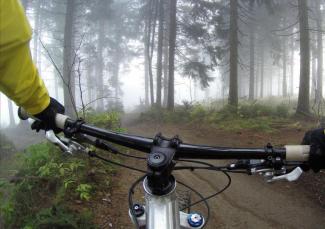cycling-Fahrradfahrer im Wald Indoorcycling