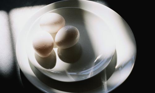 Eier